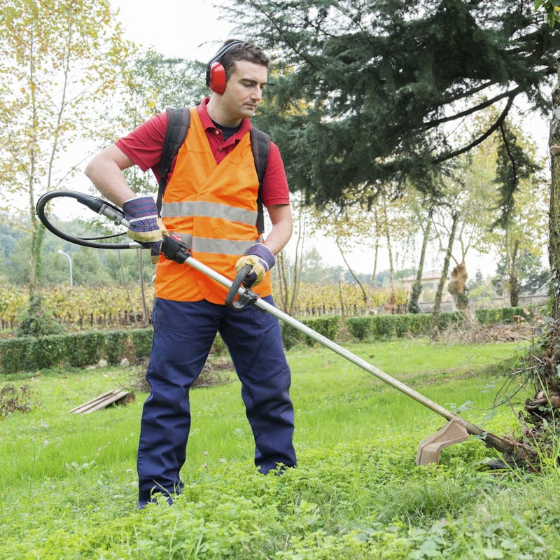 Plainte Au Maire Pour Tapage Nocturne Dossier Familial