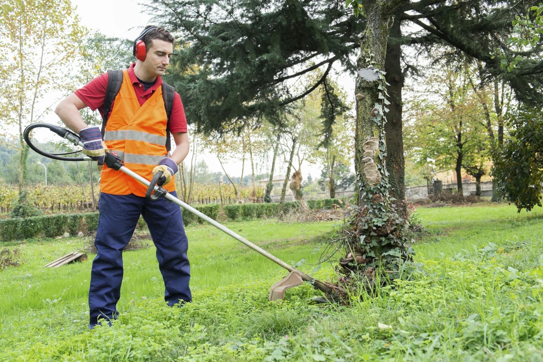 Problème De Voisinage Comment Défendre Ses Droits Dossier