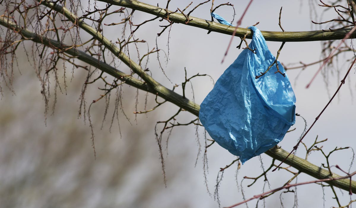 Chaque année, un Français utilise en moyenne 80 sacs plastiques à usage unique. Chaque année, un Français utilise en moyenne 80 sacs plastiques à usage unique.