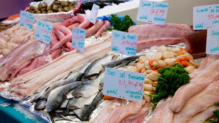 L’association de consommateurs CLCV épingle l’étiquetage du poisson