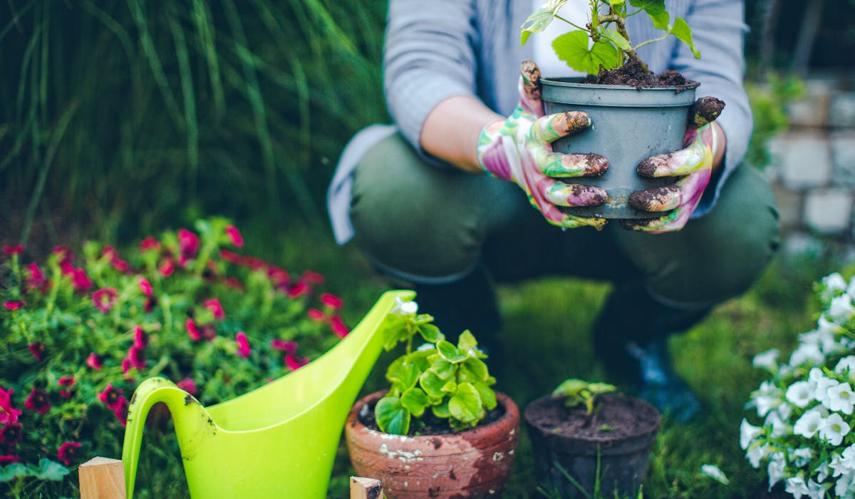 Jardiniers amateurs, vous allez devoir apprendre à jardiner autrement. Jardiniers amateurs, vous allez devoir apprendre à jardiner autrement.