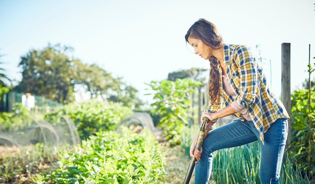 Presque les trois quarts des salariés ont déjà songé à prendre une nouvelle voie professionnelle. Presque les trois quarts des salariés ont déjà songé à prendre une nouvelle voie professionnelle.