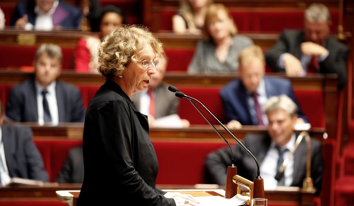 La ministre du Travail, Muriel Pénicaud, lundi 10 juillet, lors de son discours à l’ouverture des débats sur le projet de loi dans l’hémicycle du Palais Bourbon. La ministre du Travail, Muriel Pénicaud, lundi 10 juillet, lors de son discours à l’ouverture des débats sur le projet de loi dans l’hémicycle du Palais Bourbon.