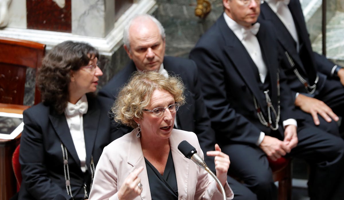 Muriel Pénicaud mardi 12 juillet à l’Assemblée nationale, durant la séance des questions au gouvernement. Muriel Pénicaud mardi 12 juillet à l’Assemblée nationale, durant la séance des questions au gouvernement.