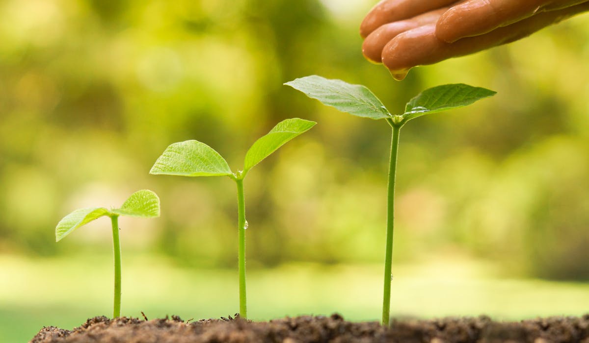Vous pouvez placer dans votre plan d’épargne entreprise (PEE) la somme de votre choix, dans la limite de 25 % de votre revenu annuel brut. Vous pouvez placer dans votre plan d’épargne entreprise (PEE) la somme de votre choix, dans la limite de 25 % de votre revenu annuel brut.