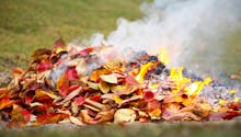 Pouvez-vous brûler des déchets végétaux dans votre jardin ?