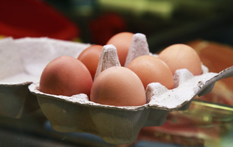 Classification Des œufs Que Signifient Les Numeros 0 1 2 Et 3 Dossier Familial Dossier Familial Classification Des œufs Que Signifient Les Numeros 0 1 2 Et 3 Dossier Familial Dossier Familial