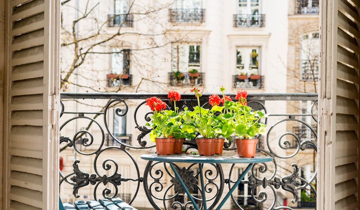 Fleurir son balcon est autorisé à condition de ne pas gêner ses voisins. Fleurir son balcon est autorisé à condition de ne pas gêner ses voisins.