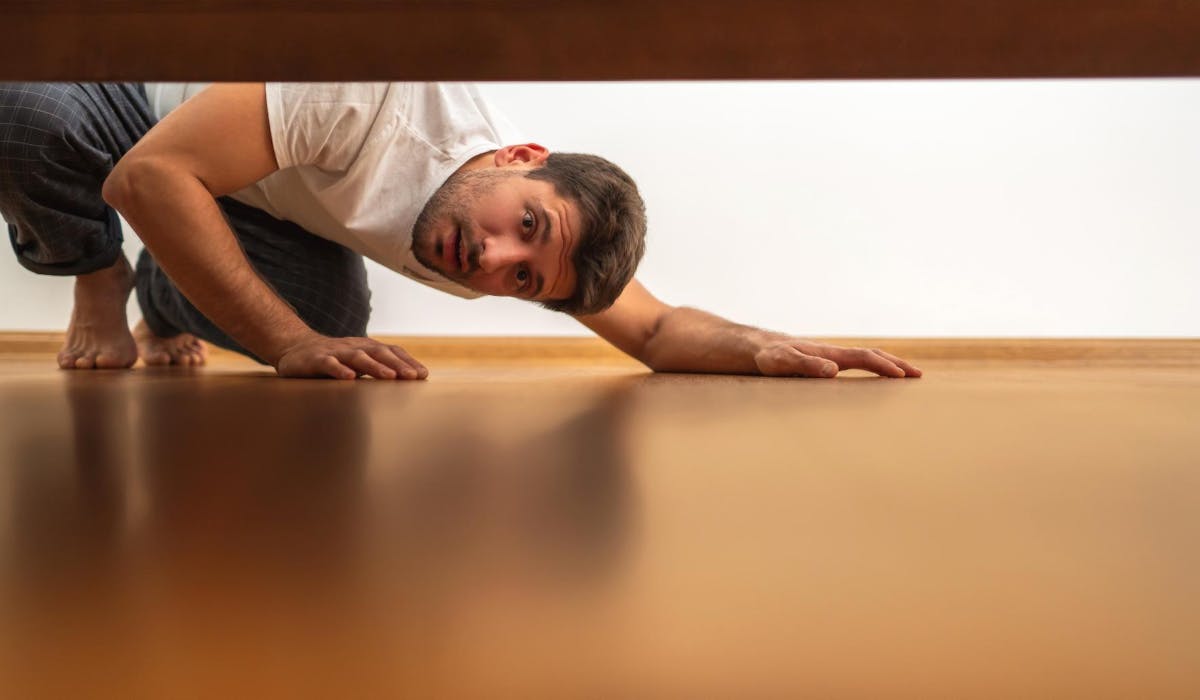 Découvrez comment vous débarrasser des punaises de lit