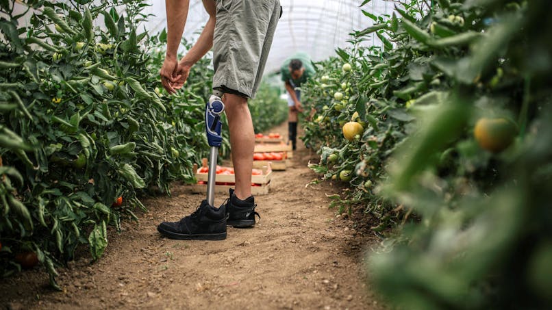 Handicap Tous Les Dispositifs Bons A Connaitre Dossier