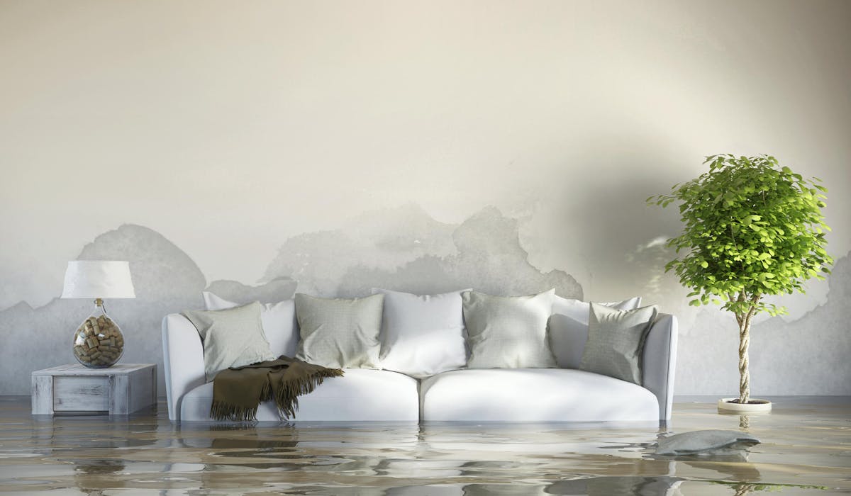 Vous disposez de 10 jours pour déclarer le sinistre à votre assureur à partir de la publication de l’arrêté de catastrophe naturelle. Vous disposez de 10 jours pour déclarer le sinistre à votre assureur à partir de la publication de l’arrêté de catastrophe naturelle.