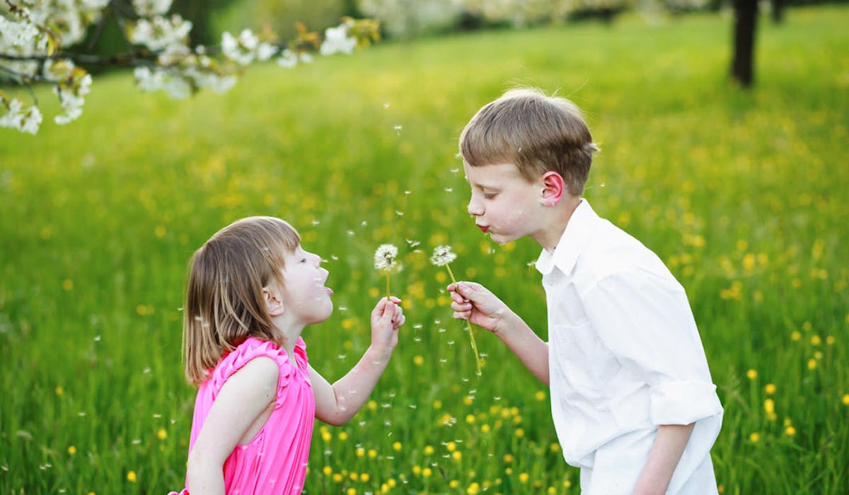 Le Calcul De La Pension Alimentaire Dossier Familial
