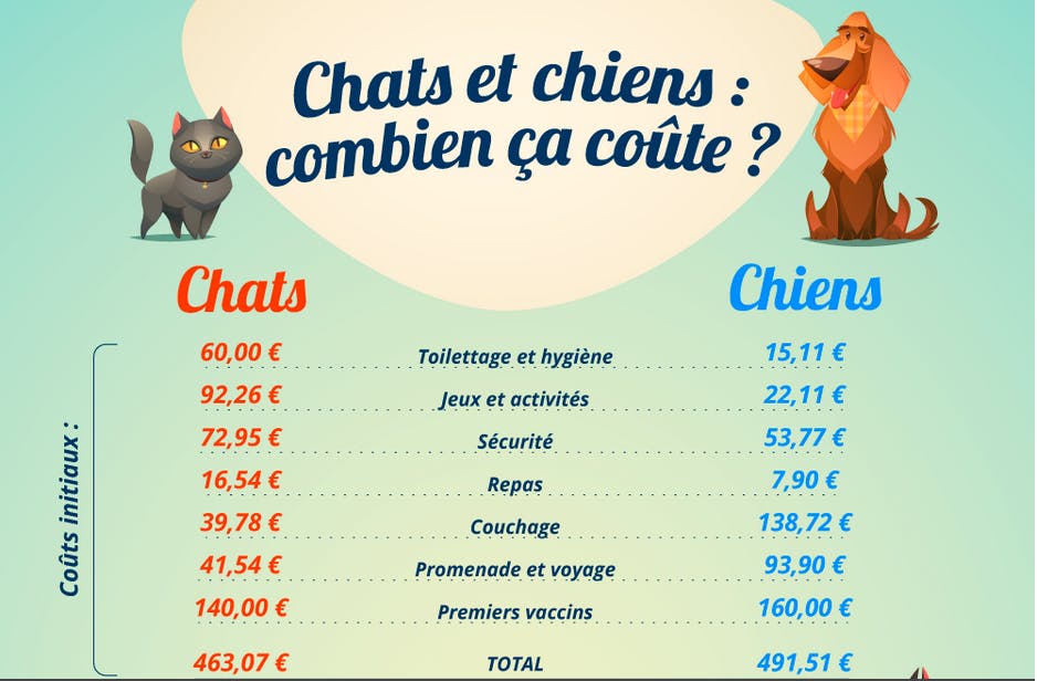 Combien Coute Reellement D Avoir Un Chien Ou Un Chat Dossier Familial Dossier Familial Combien Coute Reellement D Avoir Un Chien Ou Un Chat Dossier Familial Dossier Familial