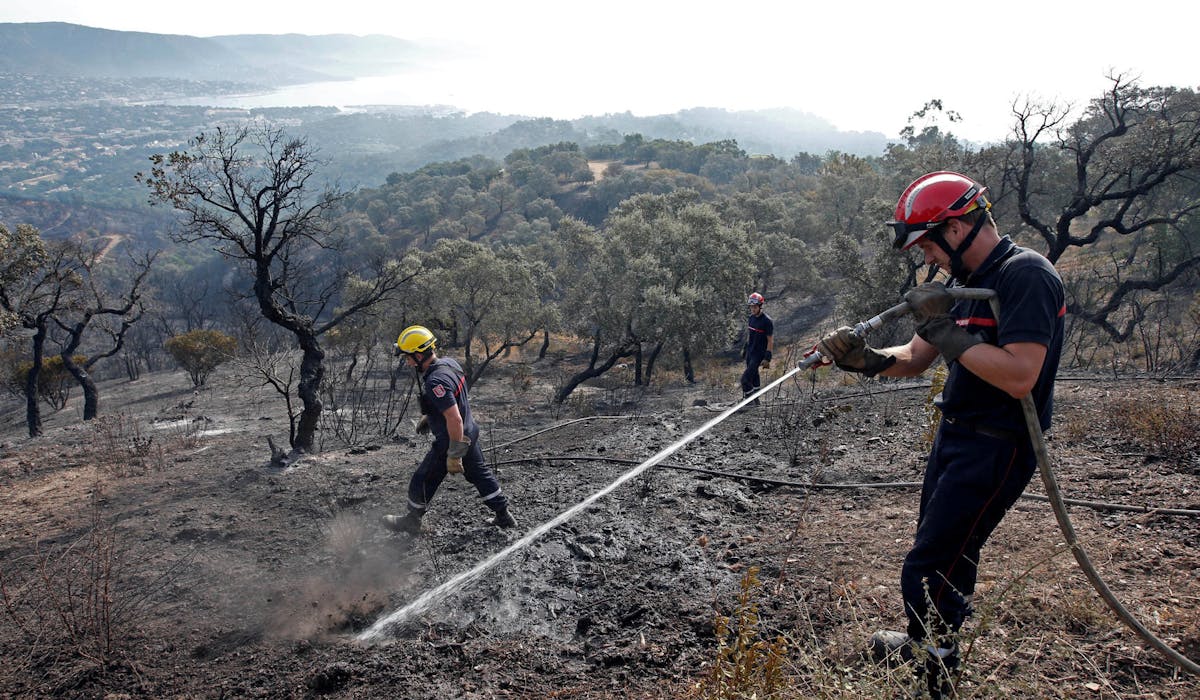 Des pompiers en intervention, le 27 juillet 2017 à Bormes-les-Mimosas (Var).
