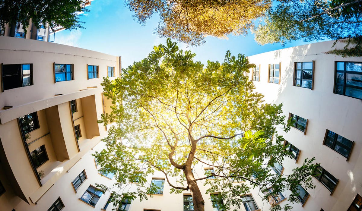 Un ensemble de logements repectueux de la nature et entouré d'arbres.
