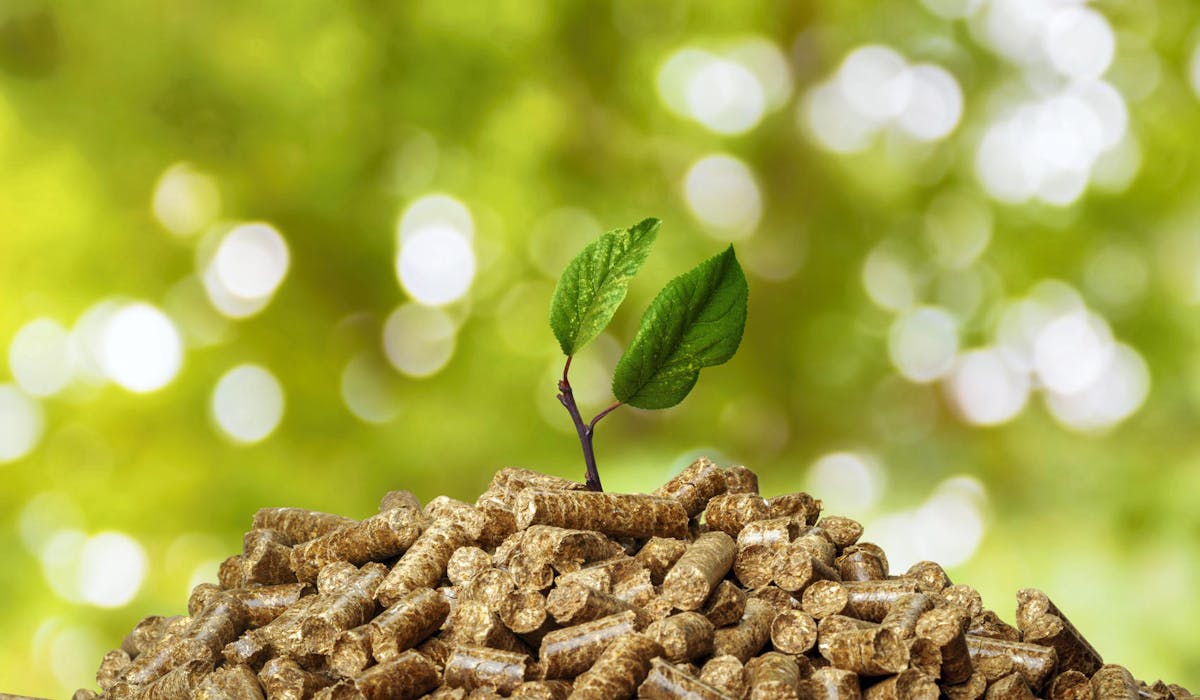 Les granulés de bois, un combustible écologique.