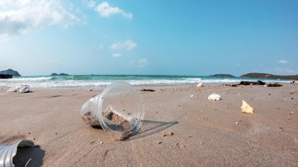 Une plage polluée de gobelets en plastique