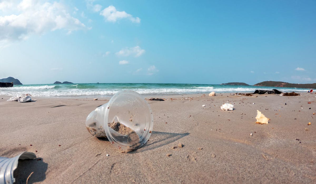 Une plage polluée de gobelets en plastique