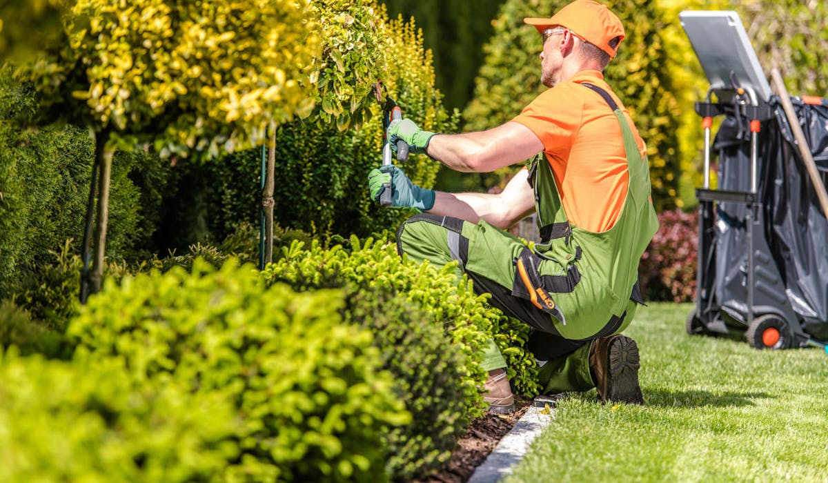 Un jardinier taille les haies chez des particuliers