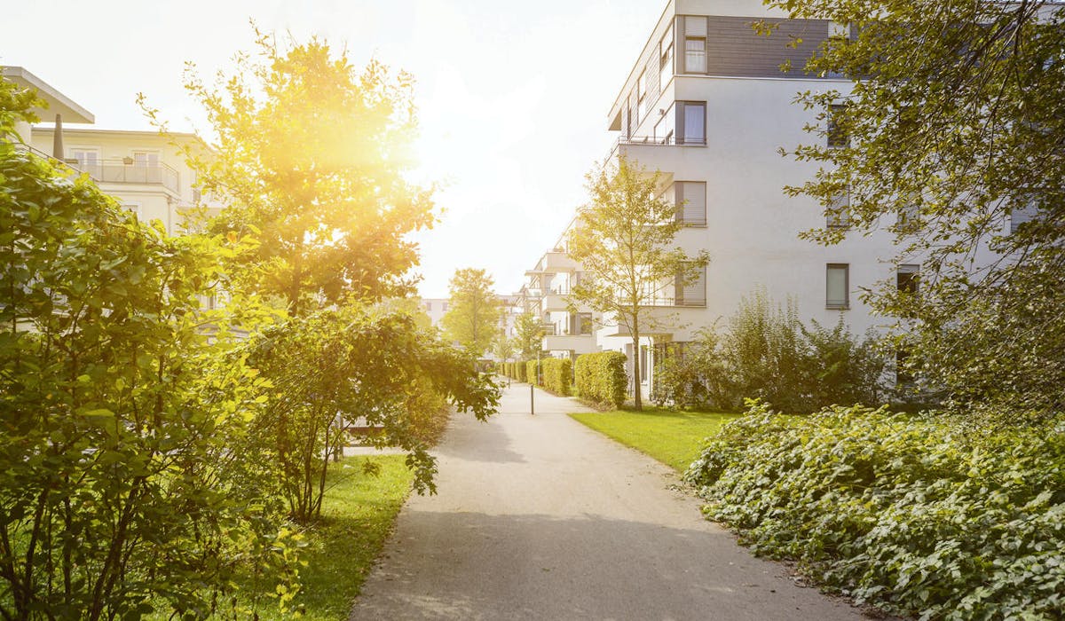 Dans un écoquartier, l'environnement est protégé