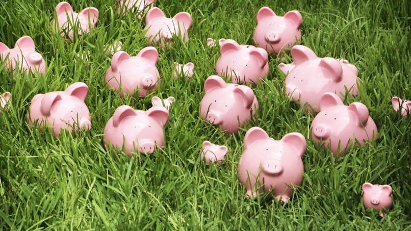 Faire des placements verts pour la transition écologique