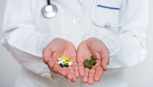 Cannabis thérapeutique : le gouvernement autorise les expérimentations