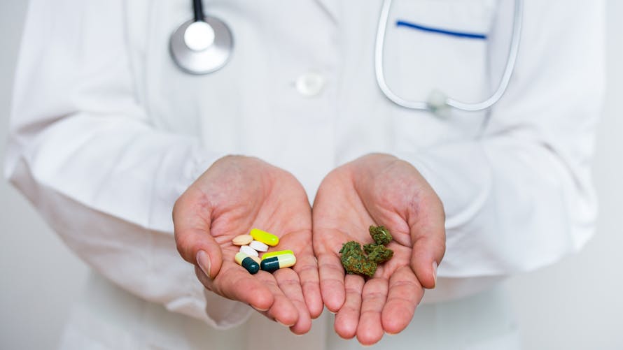 Cannabis thérapeutique : le gouvernement autorise les expérimentations