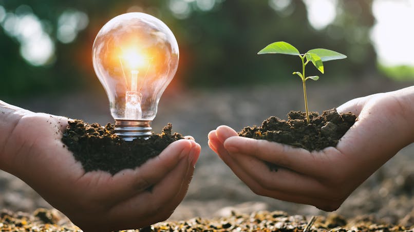 Comment bien choisir son fournisseur d'électricité verte ?