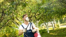 Victimes de pesticides : le fonds d’indemnisation est opérationnel