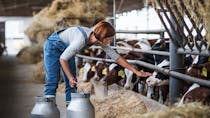 Retraite des conjoints d’agriculteurs : une proposition de loi veut les revaloriser