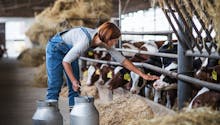 Retraite des conjoints d’agriculteurs : une proposition de loi veut les revaloriser