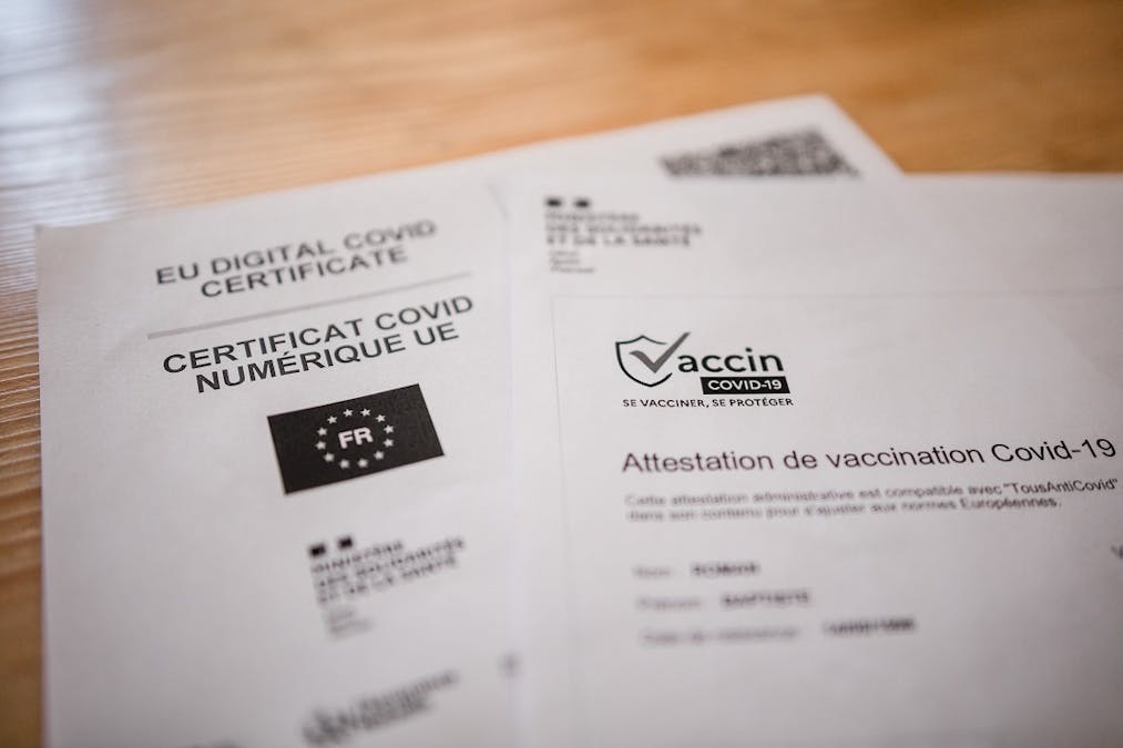 certificat de vaccination que faire s il comporte des fautes d orthographe dossier familial
