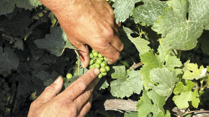 coute en energie 8 lettres coute en energie 8 lettres