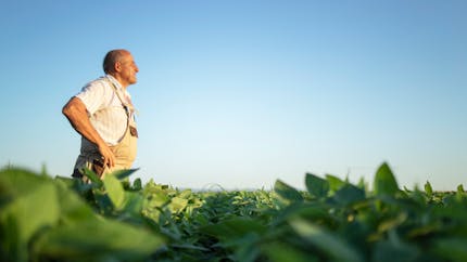 Décès d’agriculteur : les familles ont droit à un capital décès