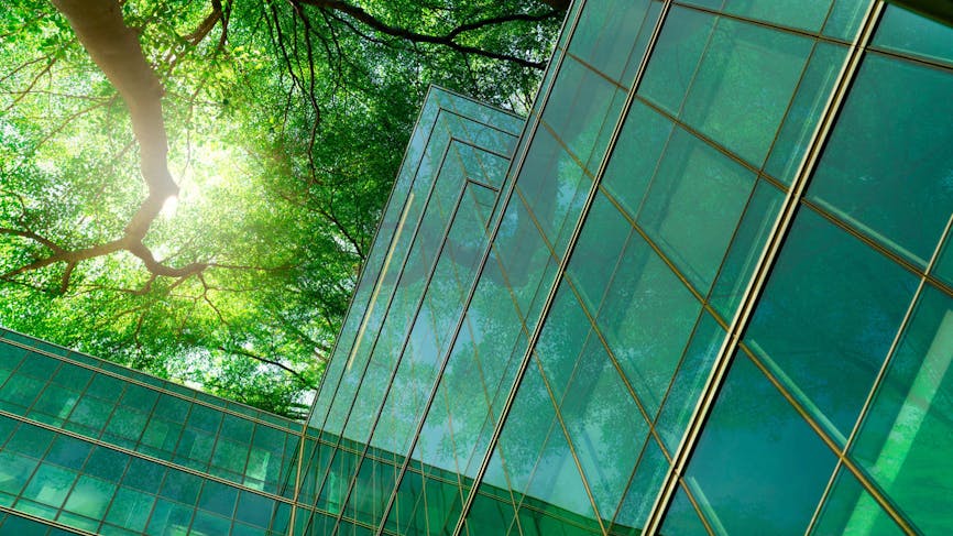 Maison en verre, arbres, soleil
