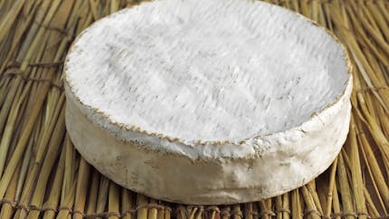 Brie, coulommiers… Six fromages au lait cru rappelés pour un risque de listéria
