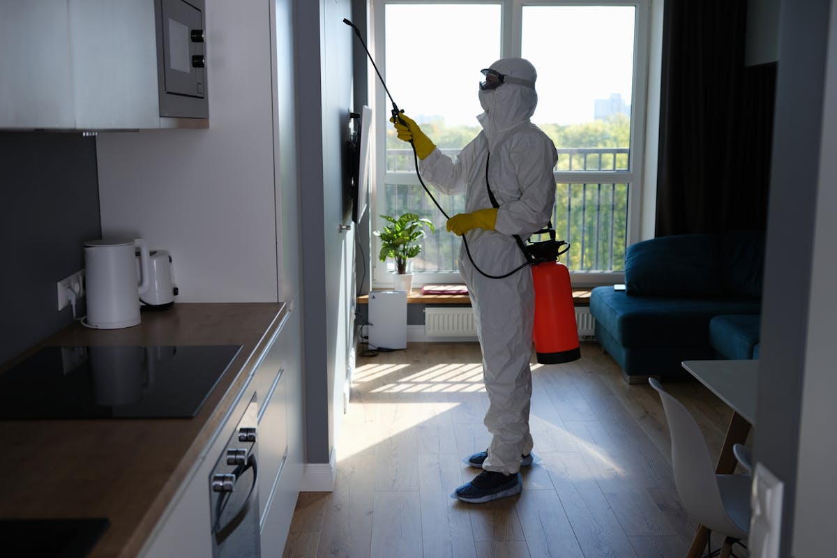 Rats, cafards... Qui du locataire, du propriétaire ou du syndic doit prendre en charge les frais