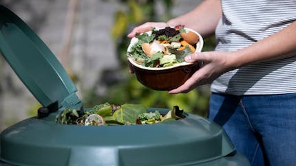Recyclage : composter ses biodéchets deviendra obligatoire en 2024