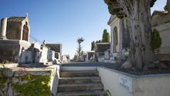 Immobilier : est-ce une bonne affaire d’acheter près d’un cimetière ?
