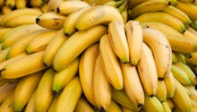 Inflation : le prix des bananes va fortement augmenter en 2023
