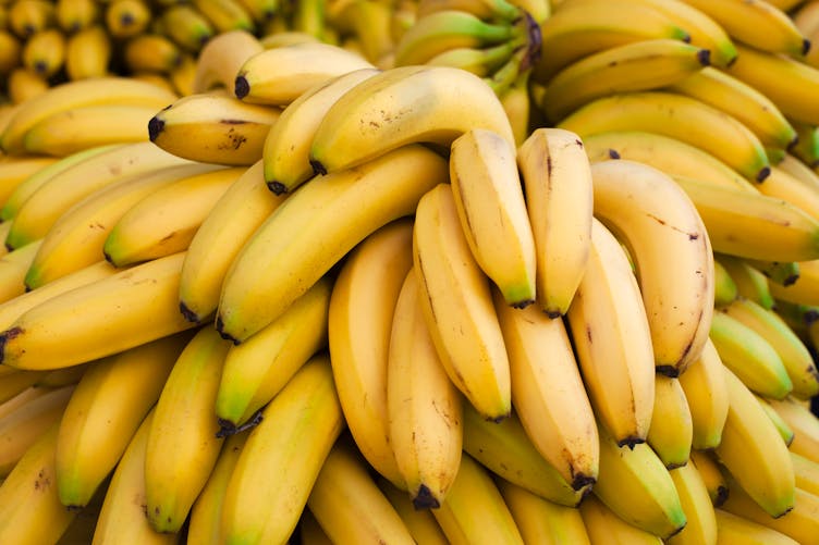 Pourquoi le prix des bananes va-t-il flamber dans les prochains