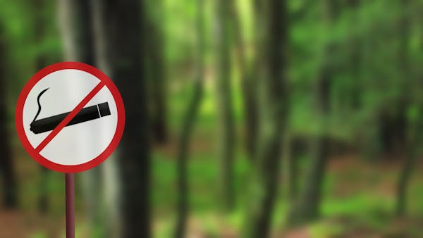 Incendies : il sera bientôt interdit de fumer dans les bois et les forêts...