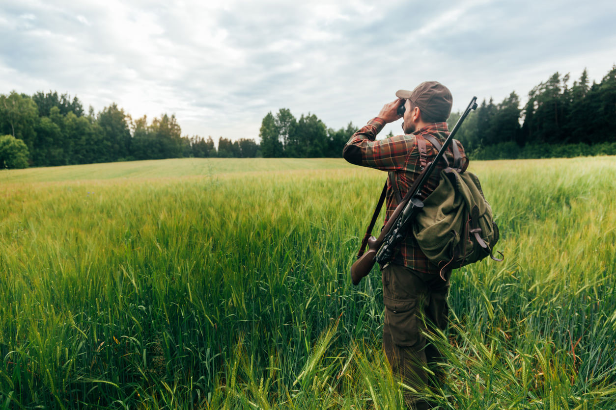 Chasseur vous avez jusqu au 31 d cembre 2023 pour cr er un