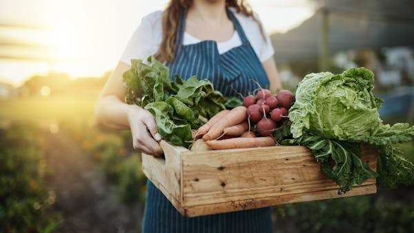La vente des fruits et légumes de votre jardin peut être imposable