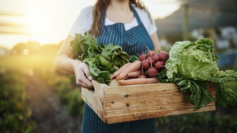 La vente des fruits et légumes de votre jardin peut être imposable