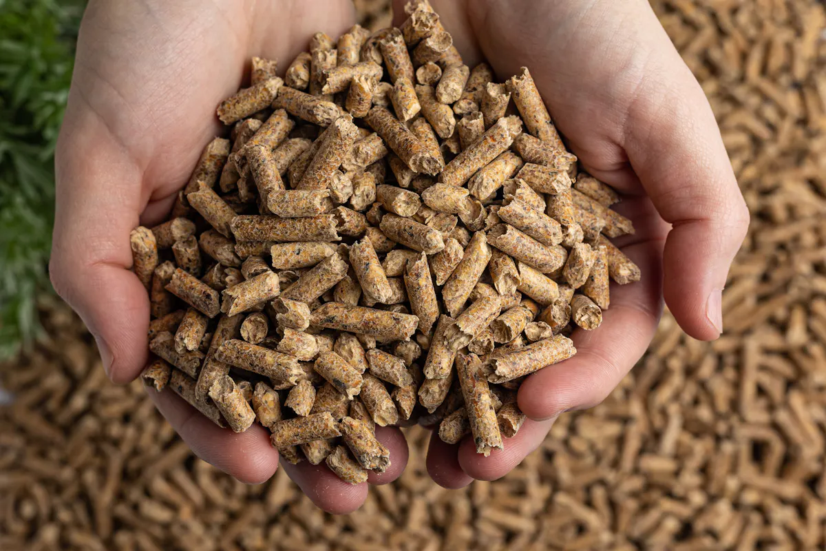 Cs Pellets Pellets ou granulés de bois : une opération gratuite pour payer ...